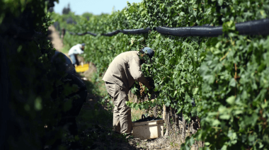 La UATRE detectó irregularidades en 40% de establecimientos rurales del norte bonaerense