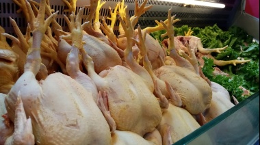 El precio del pollo aumentó un 40% debido a una baja en la producción
