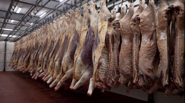 La faena bovina de abril fue de 1,17 millones de cabezas