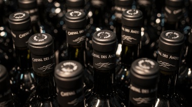 Crece la comercialización y exportación de vinos con denominación de origen