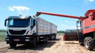 Aprueban aumento de 30% en tarifas de referencia para el transporte de cargas de cereales