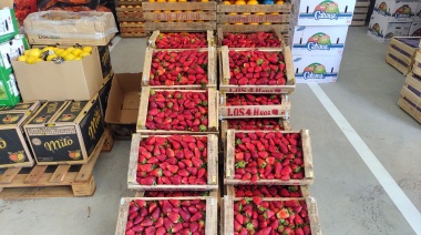 Pehuajó: el Mercado Concentrador Frutihortícola ya abrió sus puertas a todo público