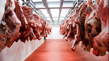 Las exportaciones de carne vacuna crecieron 11,9% interanual en noviembre