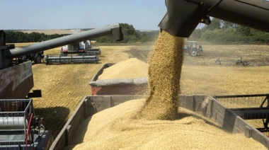 El sector agroindustrial exportó por US$ 3.299 millones en enero, 21,3% más que en igual mes de 2023