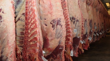Leve aumento de la faena en abril del 1,4%, respecto de marzo