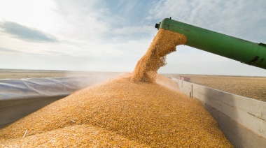 El volumen exportado del complejo soja durante mayo fue el más importante desde 2020