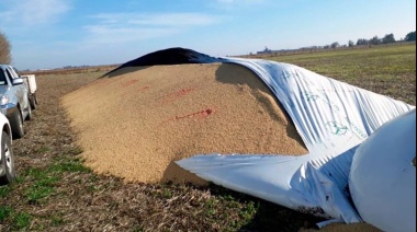 Con un caso en Henderson, la Provincia vuelve a sufrir el ataque a los silbolsas