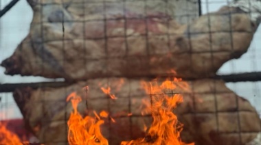 Criadores de búfalo brasileño visitarán la Rural y traen asado de carcasa para probar