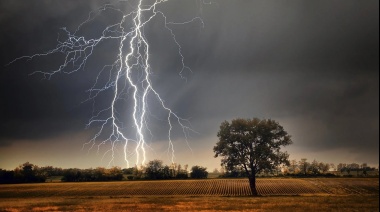 La Provincia declaró la emergencia agropecuaria en cinco municipios