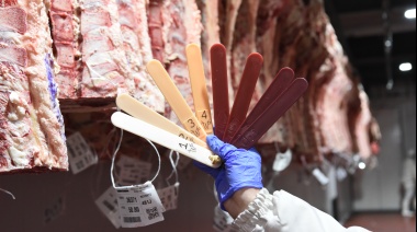 El Gobierno moderniza el sistema de gestión de la tipificación bovina para alcanzar el 100% de cobertura nacional