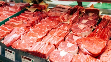 El consumo de carne vacuna se redujo en los primeros ocho meses del año