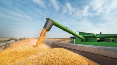 En 2025 las exportaciones agrícolas podrían aportar 29.000 millones de dólares