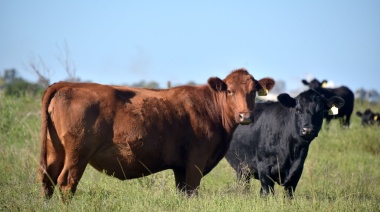 Exportaciones: Agricultura creó el Directorio de Esquemas de Diferenciación para la Agroindustria