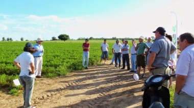 Trabajadores de Cambio Rural denuncian el cierre del Programa y el desmantelamiento de Agricultura