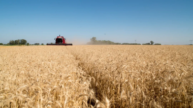 Las exportaciones agroindustriales crecieron un 51% en volumen en lo que va del año