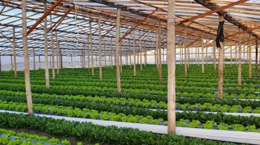 Desde el cordón frutihortícola platense, el balance del primer año de gestión de Julio Alak