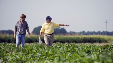 En 2024 el Estado se apropió del 64,3% de la renta de los productores agropecuarios
