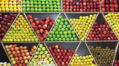 Precios de verduras más vendidas en el Mercado Central cayeron cerca de 30% en diciembre