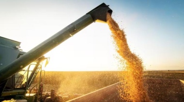 El sector agroindustrial exportó por US$ 9.637 millones en 2024, un 26% más que en 2023
