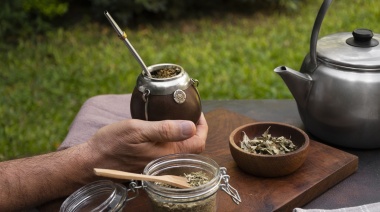 Yerba mate: en 2024 las exportaciones fueron récord
