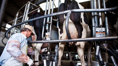 Tamberos bonaerenses piden la eliminación definitiva de retenciones