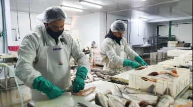 A Mar revuelto, ganancia de especuladores: análisis de coyuntura y 10 medidas para recuperar la pesca