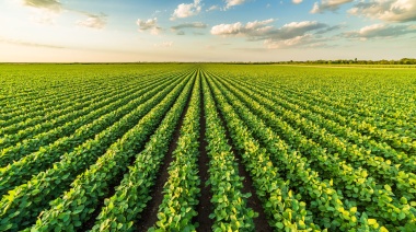 La soja es el grano con menor poder de compra frente a algunos insumos