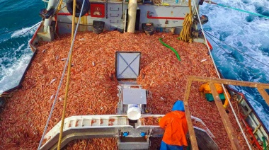 La pesca de langostino en crisis por los altos costos y bajos precios internacionales