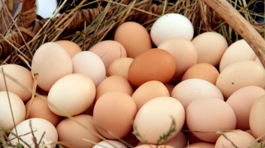 Los huevos no paran de aumentar
