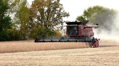 El 41% de la cosecha de soja se usará para pagar alquileres de campos