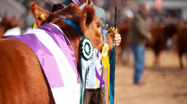 Limangus: llega la 8ª Expo de Otoño en Cañuelas