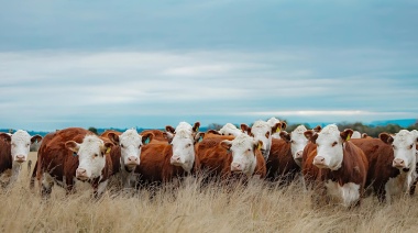 Gira técnica de la raza Hereford recorre el Mercosur