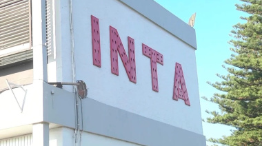 Trabajadores del INTA presentan amparo judicial contra el DNU que disuelve el organismo