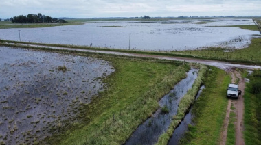 El Gobierno Nacional declaró la emergencia agropecuaria para Río Negro, Entre Ríos y Buenos Aires