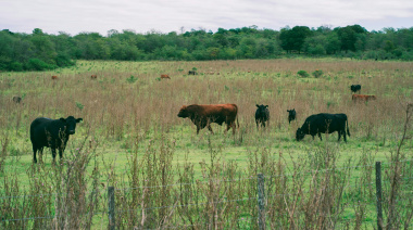 El miércoles 26 se realizará una nueva jornada a campo en Tres Arroyos