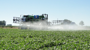 Semillas, fitosanitarios y fertilizantes: las tecnologías que revolucionaron la agricultura en Argentina