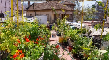 Las ocho claves para producir alimentos todo el año en huertas urbanas