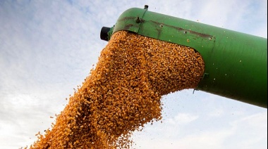 Por la sequía y el dólar soja, agroexportadores liquidaron un 75% menos que en diciembre