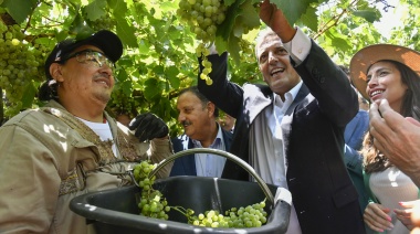 Desde La Rioja, Massa rechazó la importación de uvas