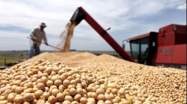 Estiman que las exportaciones de granos caerán US$ 9.975 millones por la sequía