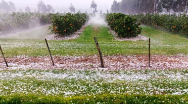 Declaran la emergencia agropecuaria para varios departamentos de Entre Ríos