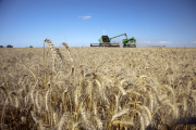 “No hay margenâ€: el campo renovó sus crÃticas por la suba de las retenciones