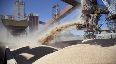China aprobó por primera vez la compra de harina de soja argentina