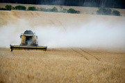 Cae la confianza de los productores en la marcha de la economía: 60% menos de expectativas de inversión