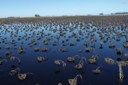 La Provincia declaró la emergencia agropecuaria en diez municipios
