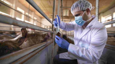 Día Mundial de la Zoonosis: Cuando la prevención también salva vidas humanas