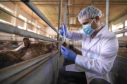 Día Mundial de la Zoonosis: Cuando la prevención también salva vidas humanas
