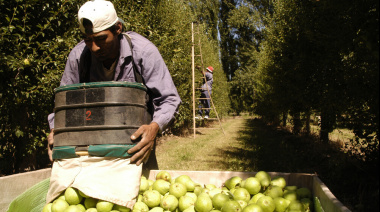 Extienden la vigencia del decreto que permite compatibilizar el trabajo rural temporario con el cobro planes sociales