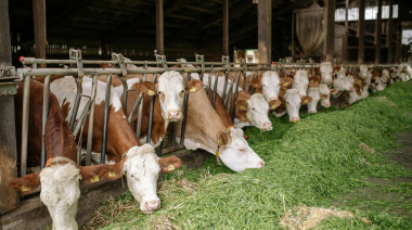 "La vacunación es una herramienta que nos da seguridad y estabilidad sanitaria"