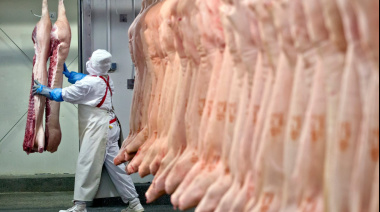 Podrían volver las retenciones a la carne vacuna desde el 1° de noviembre